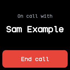 The call app during a call